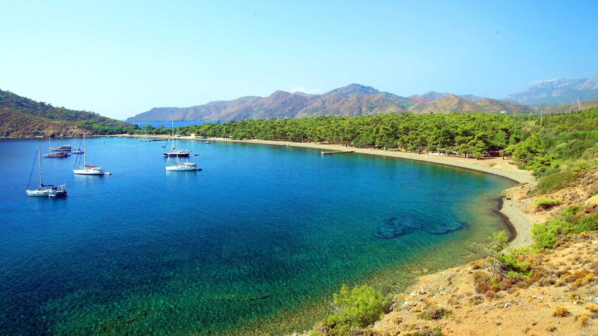 World Wide Airport Transfers