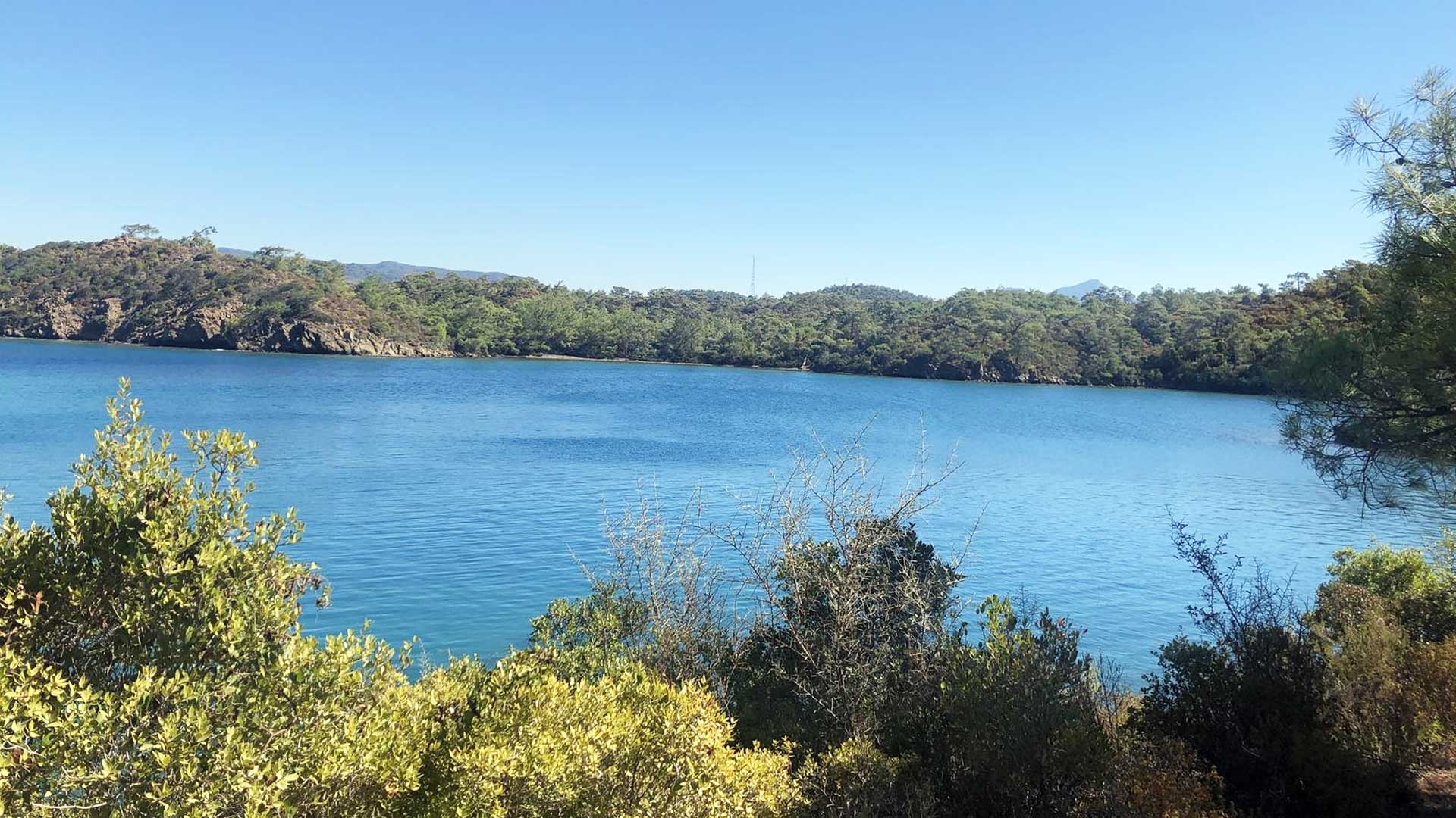 World Wide Airport Transfers