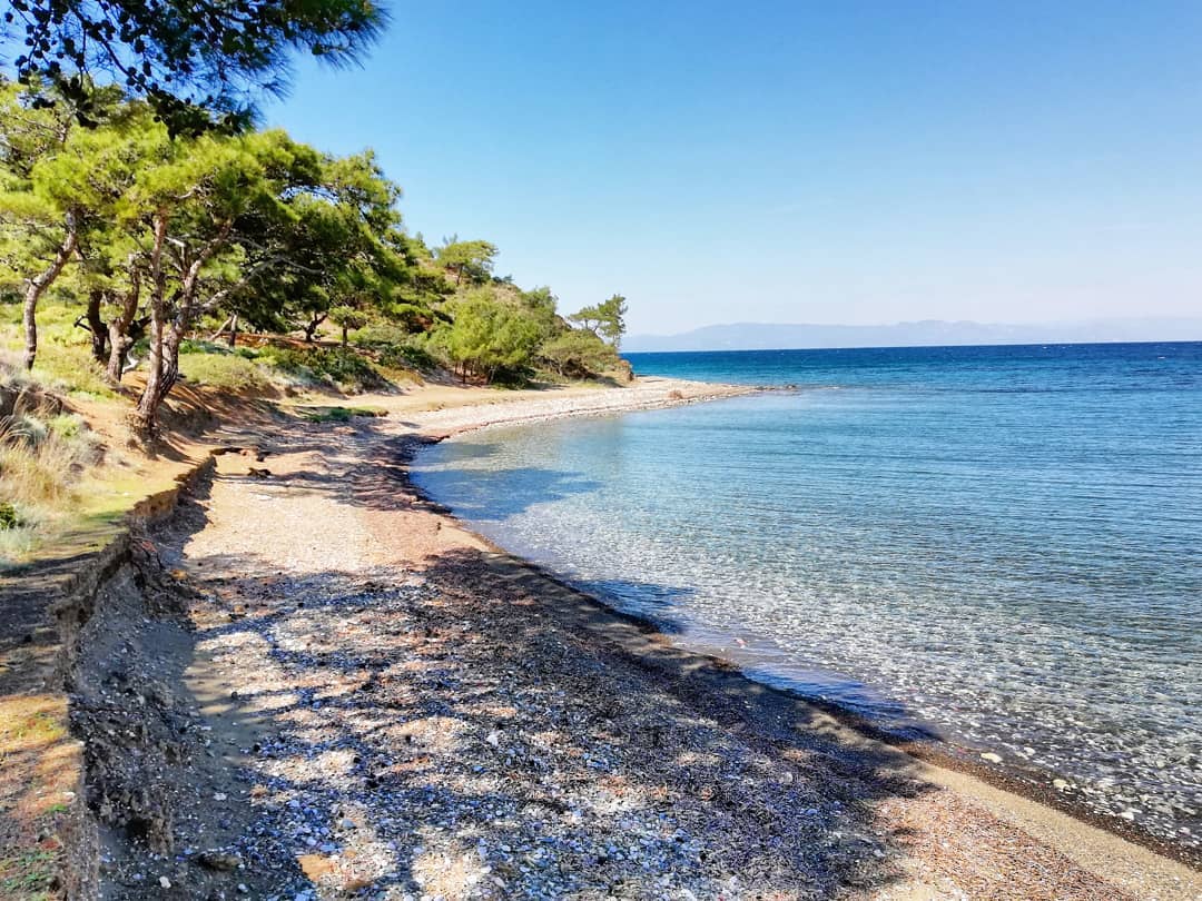 World Wide Airport Transfers