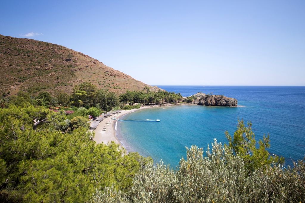 World Wide Airport Transfers