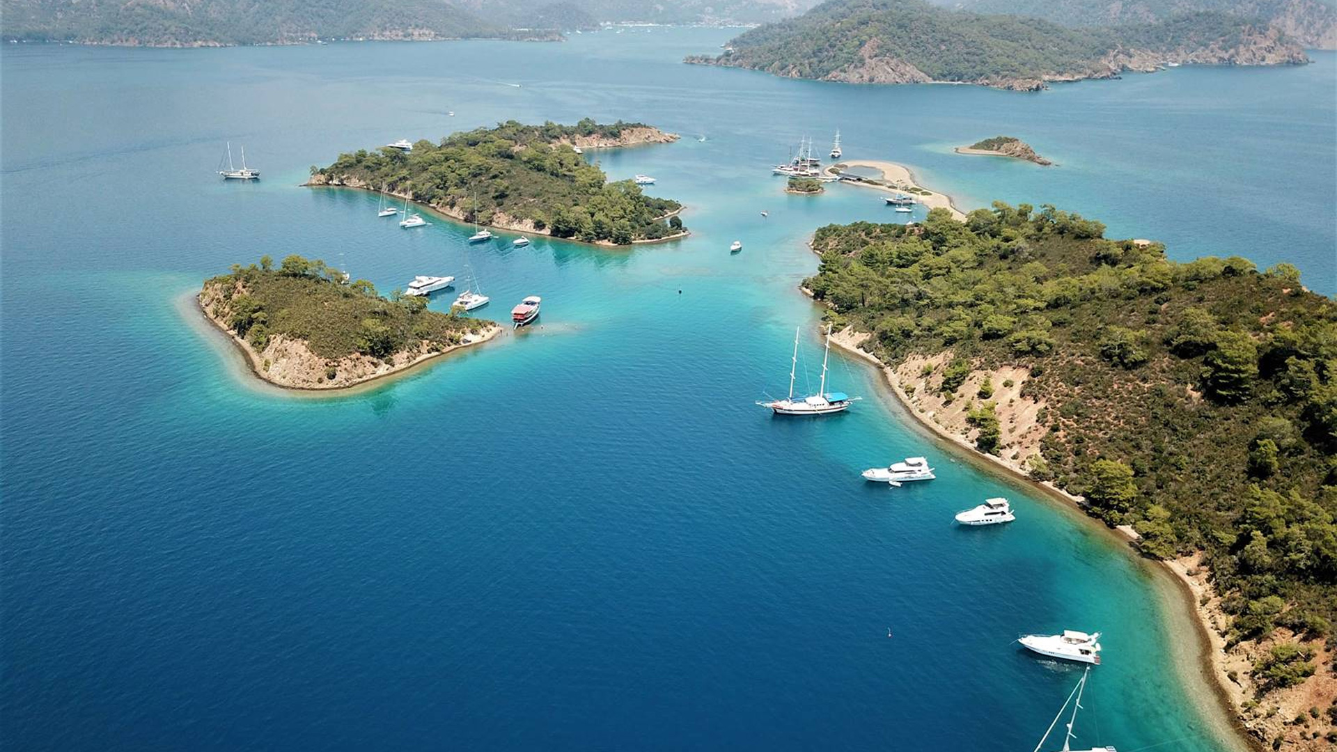 World Wide Airport Transfers