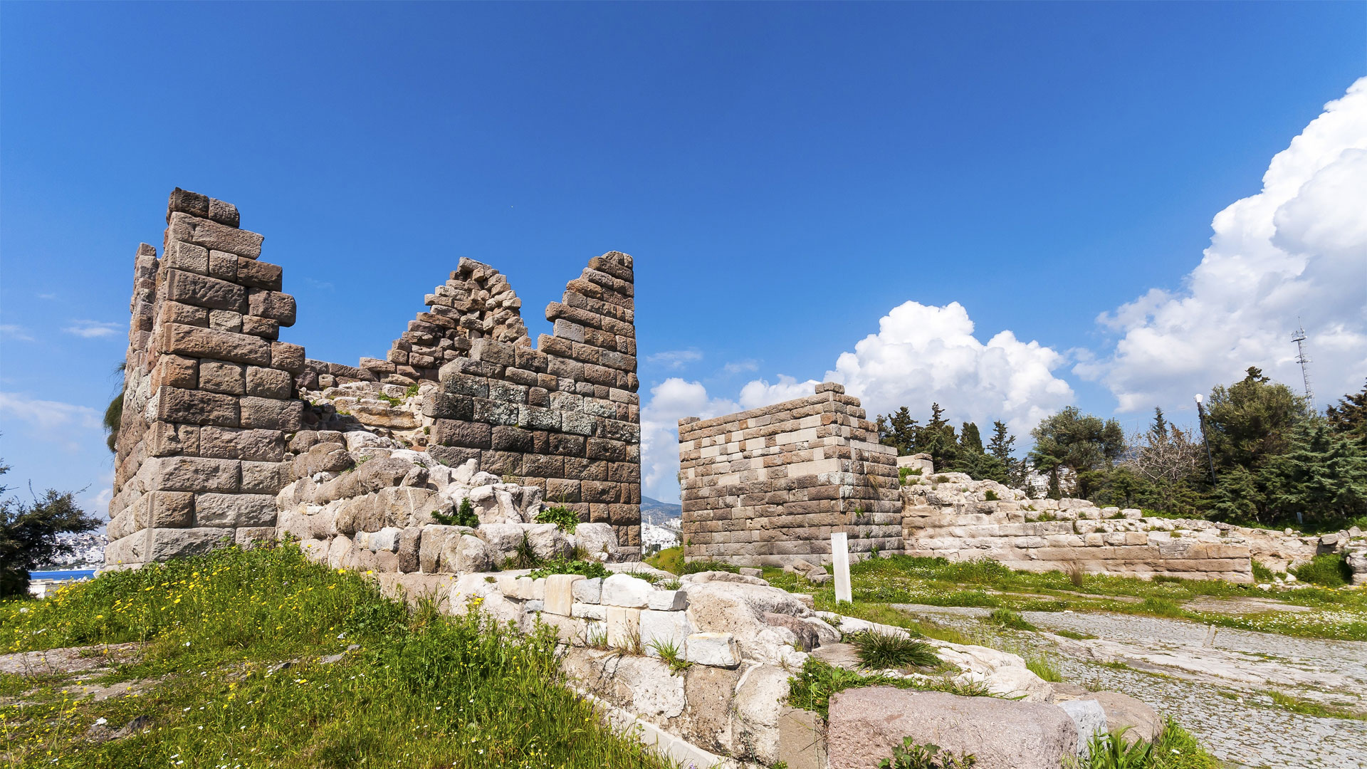 World Wide Airport Transfers