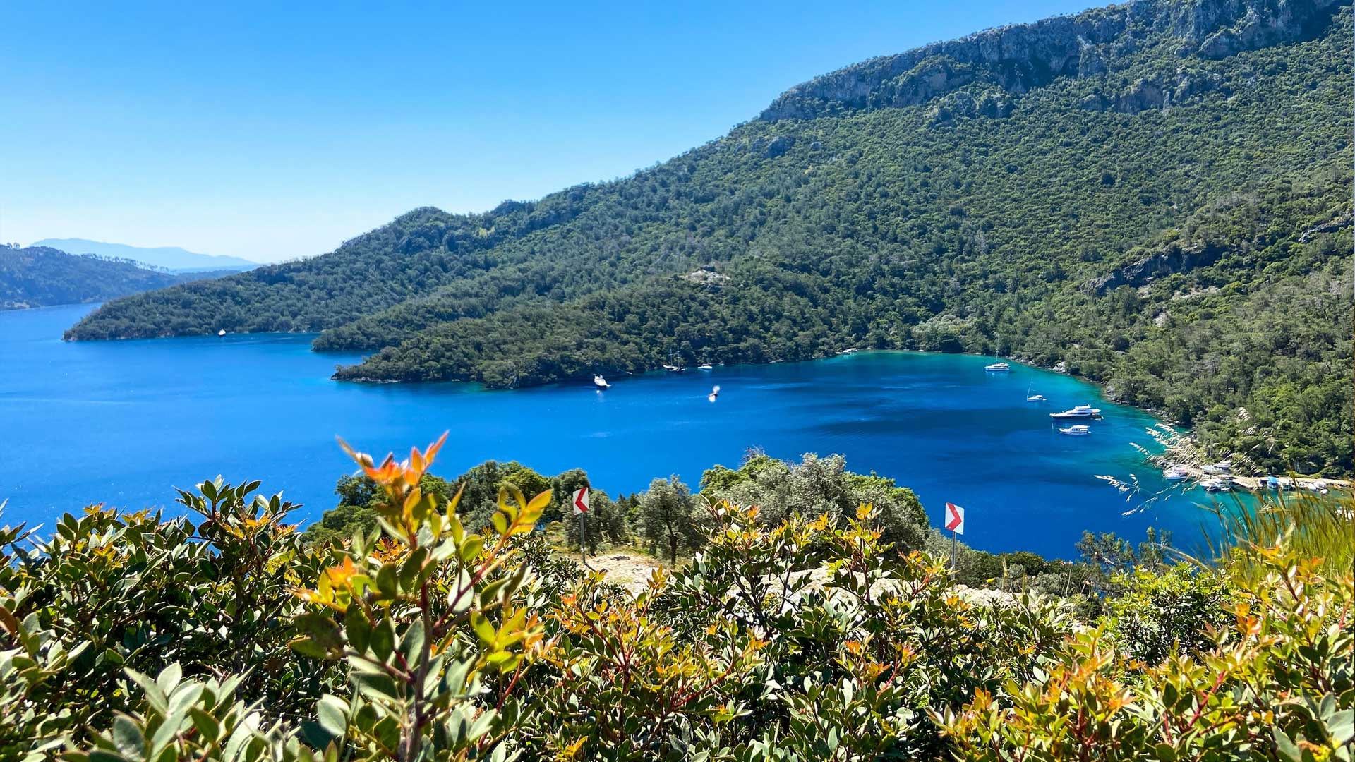 World Wide Airport Transfers