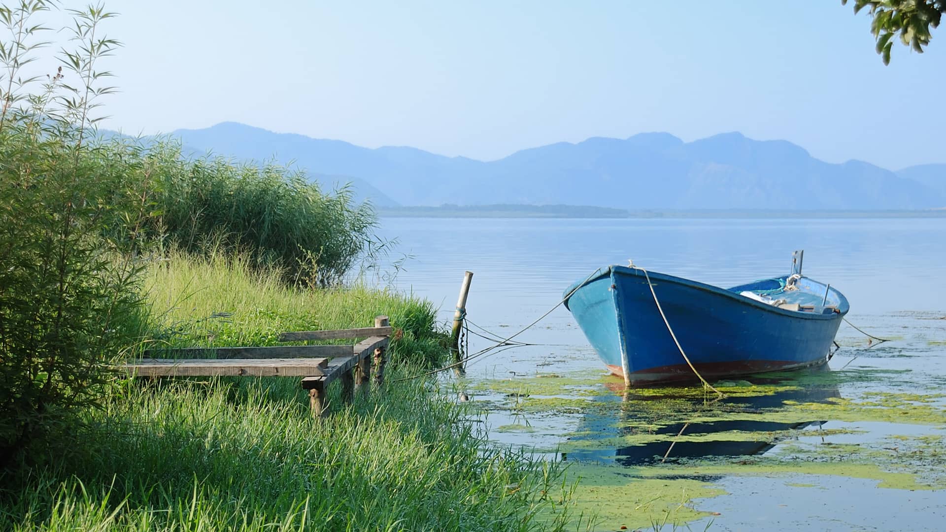 World Wide Airport Transfers