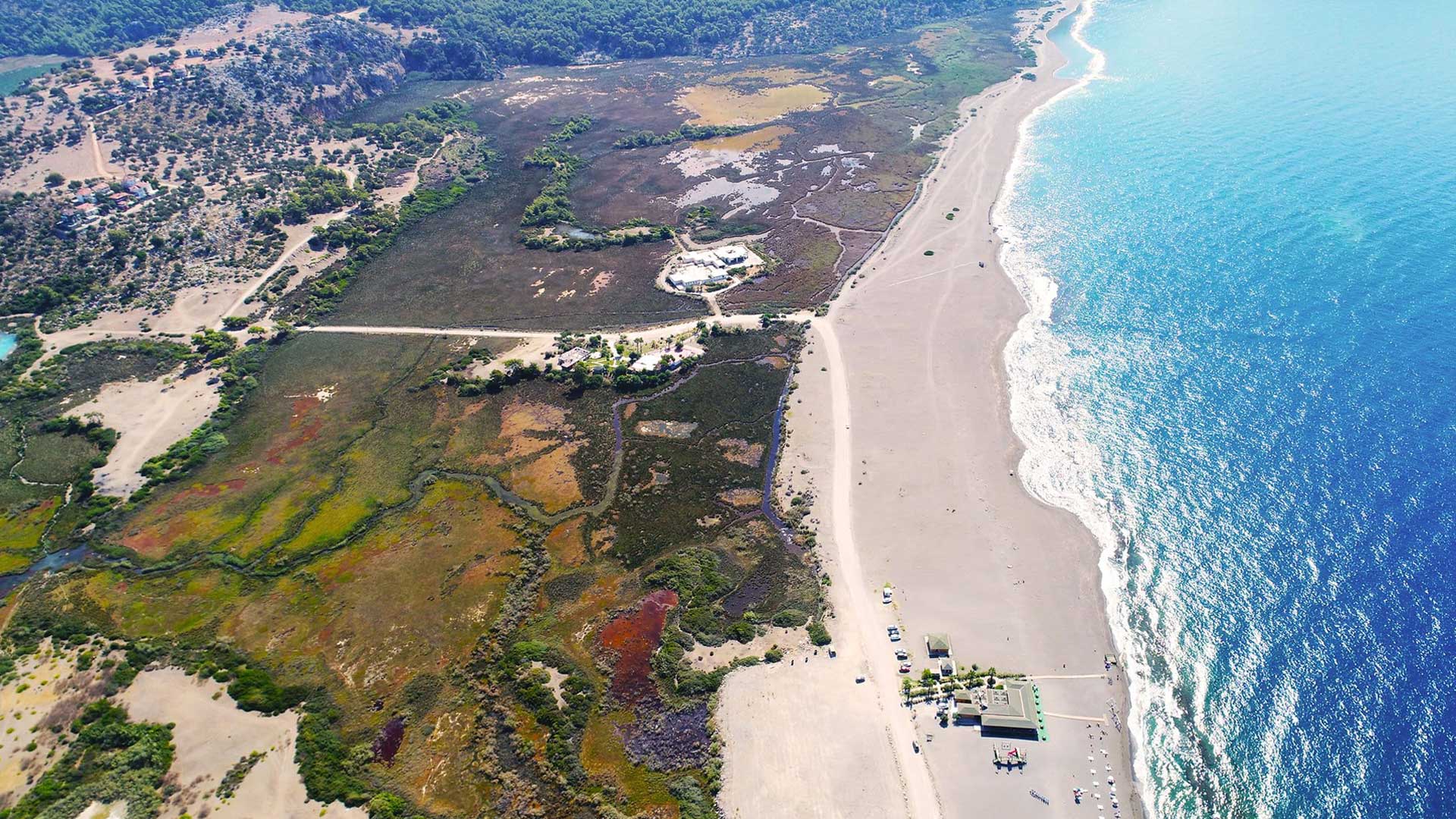 World Wide Airport Transfers