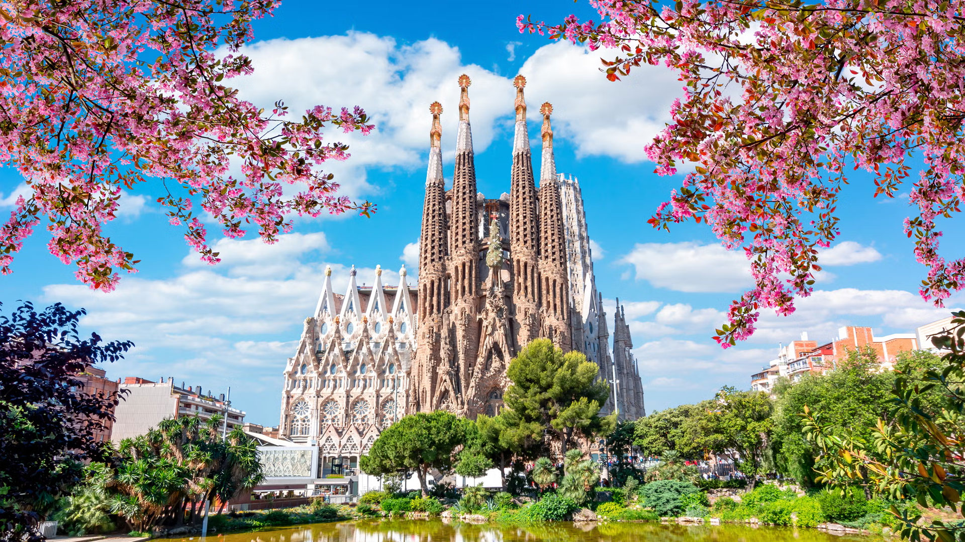 World Wide Airport Transfers