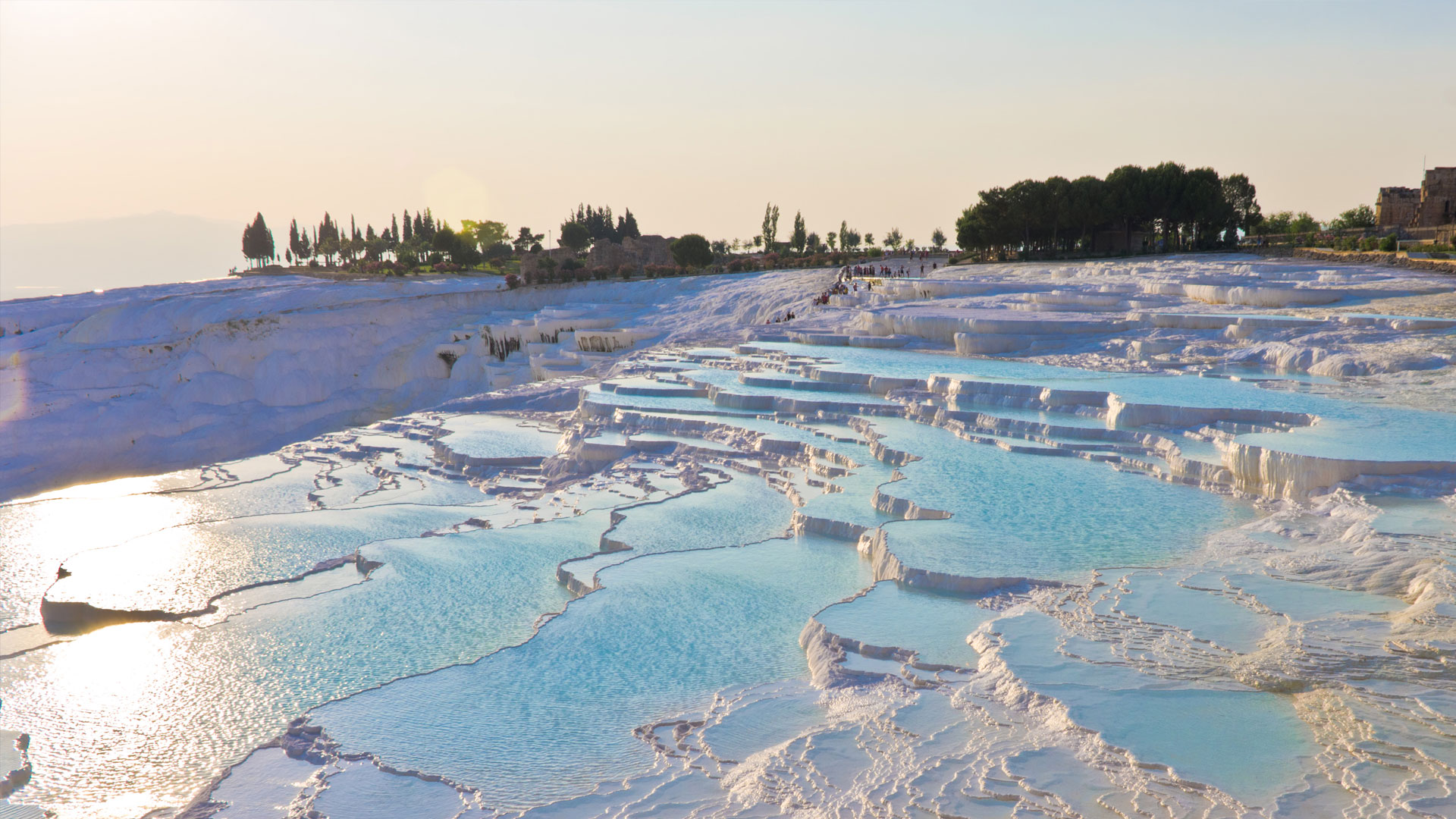 World Wide Airport Transfers