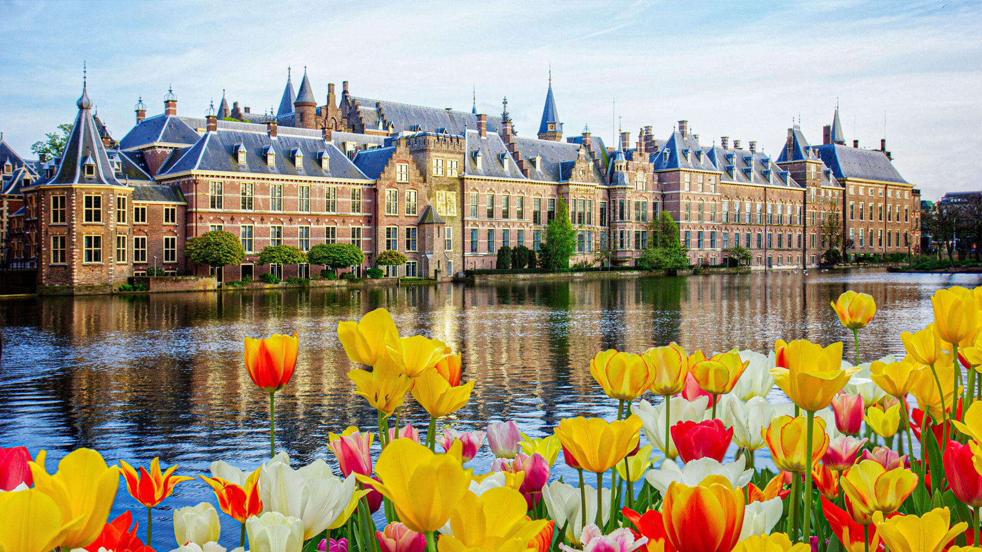 World Wide Airport Transfers