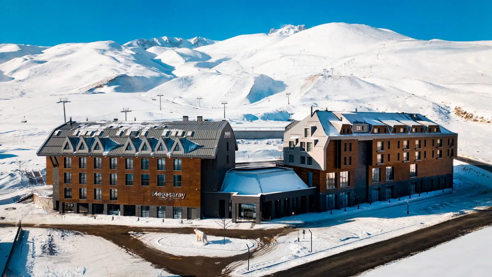 Aeropuerto De Kayseri (ASR) Airport transportation