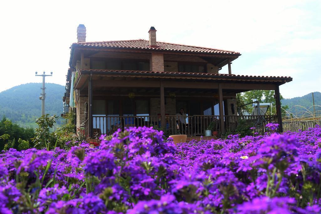 Izmir Airport (ADB) Airport transportation