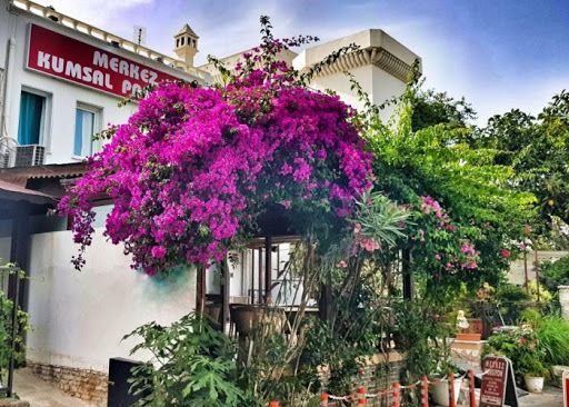 Bodrum Airport (BJV) Airport transportation