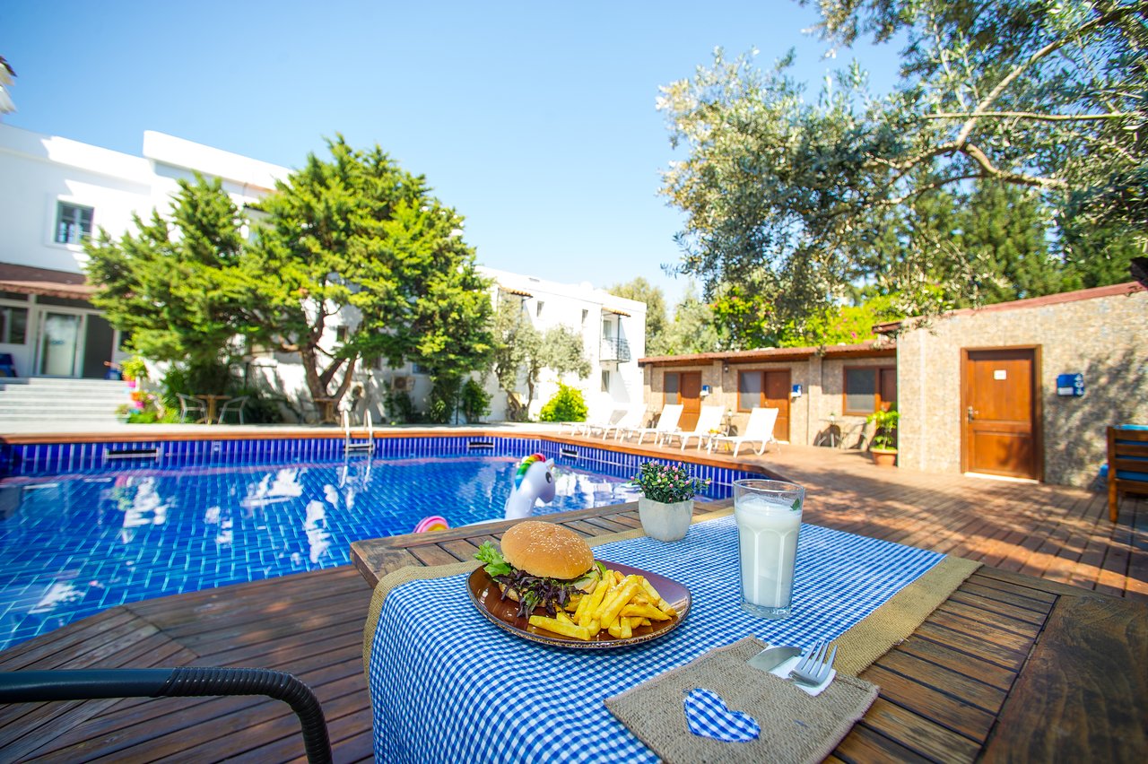 Aeropuerto De Bodrum (BJV) Airport transportation