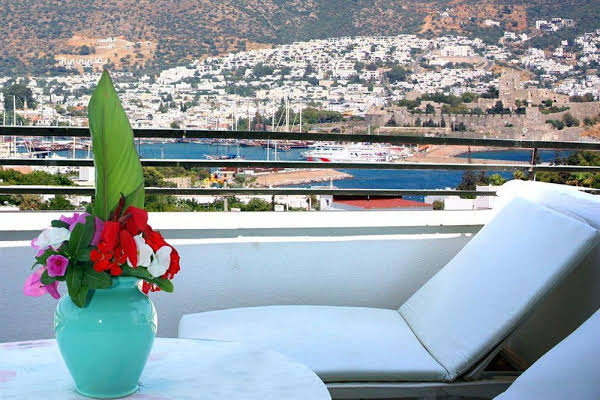 Bodrum Airport (BJV) Airport transportation