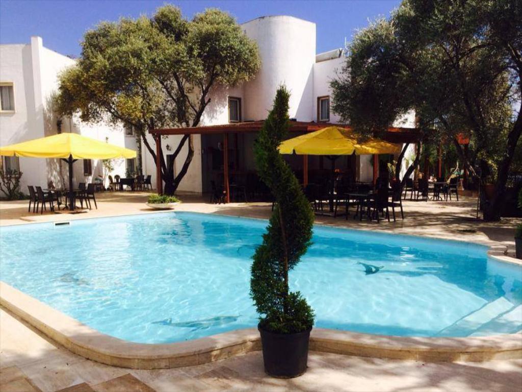 Bodrum Airport (BJV) Airport transportation