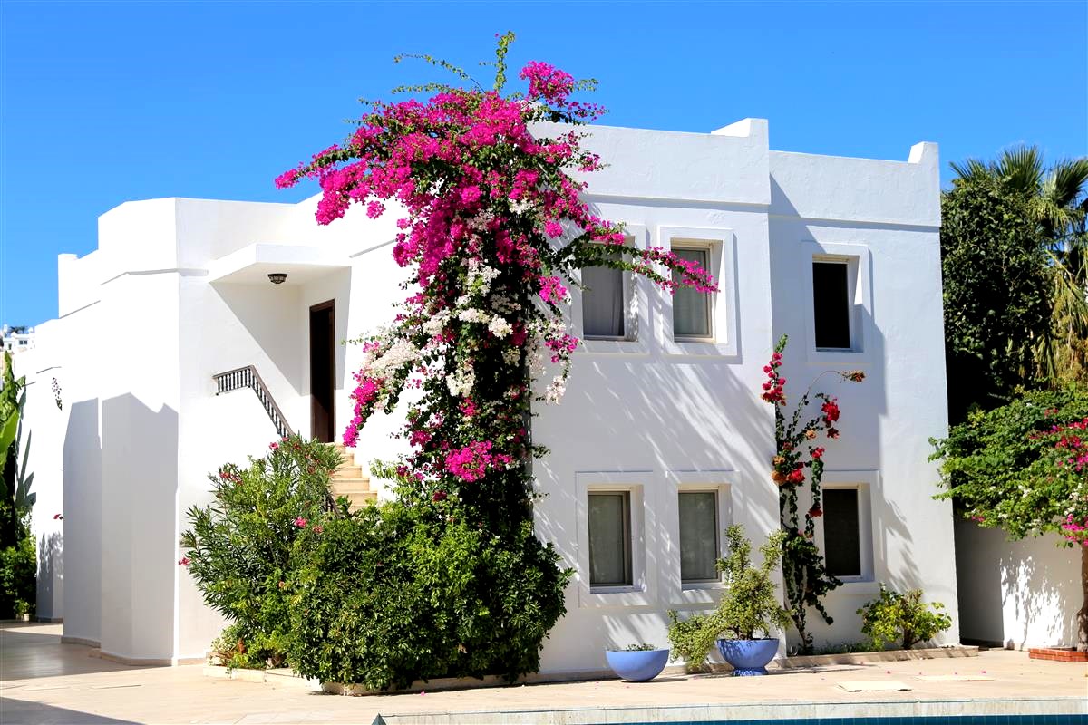 Bodrum Airport (BJV) Airport transportation