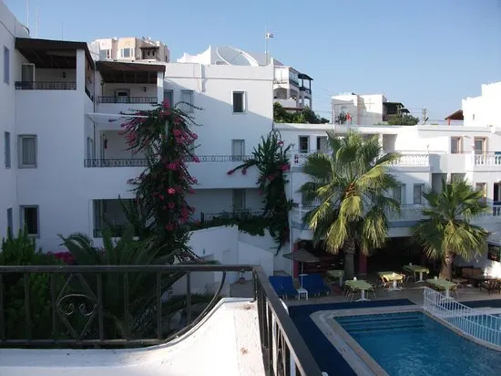 Bodrum Airport (BJV) Airport transportation