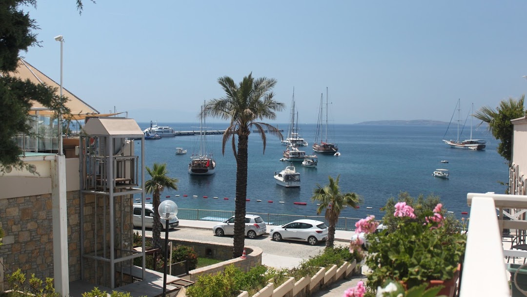 Bodrum Airport (BJV) Airport transportation