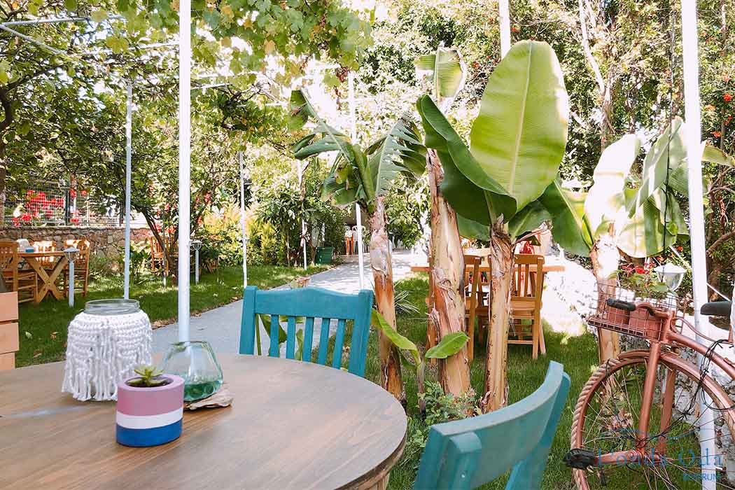 Bodrum Airport (BJV) Airport transportation