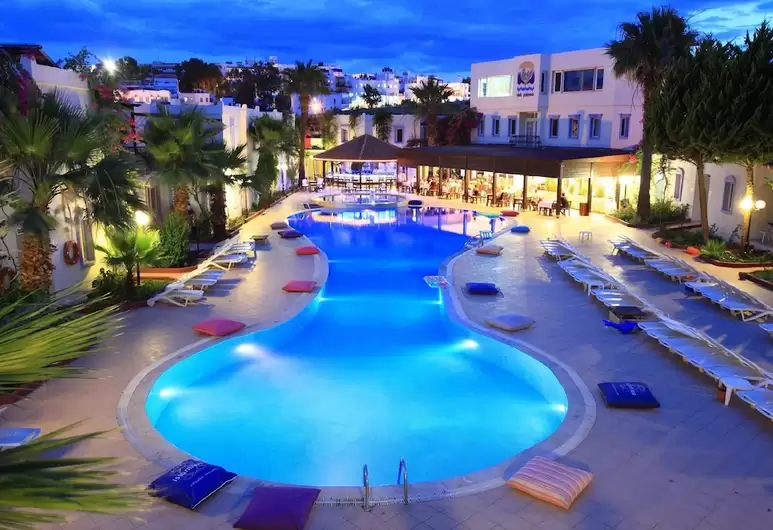 Bodrum Airport (BJV) Airport transportation