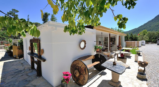 Bodrum Airport (BJV) Airport transportation