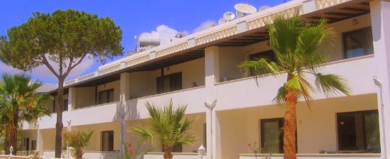 Bodrum Airport (BJV) Airport transportation