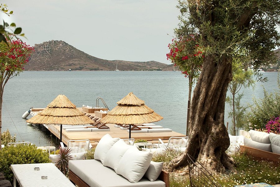 Bodrum Airport (BJV) Airport transportation