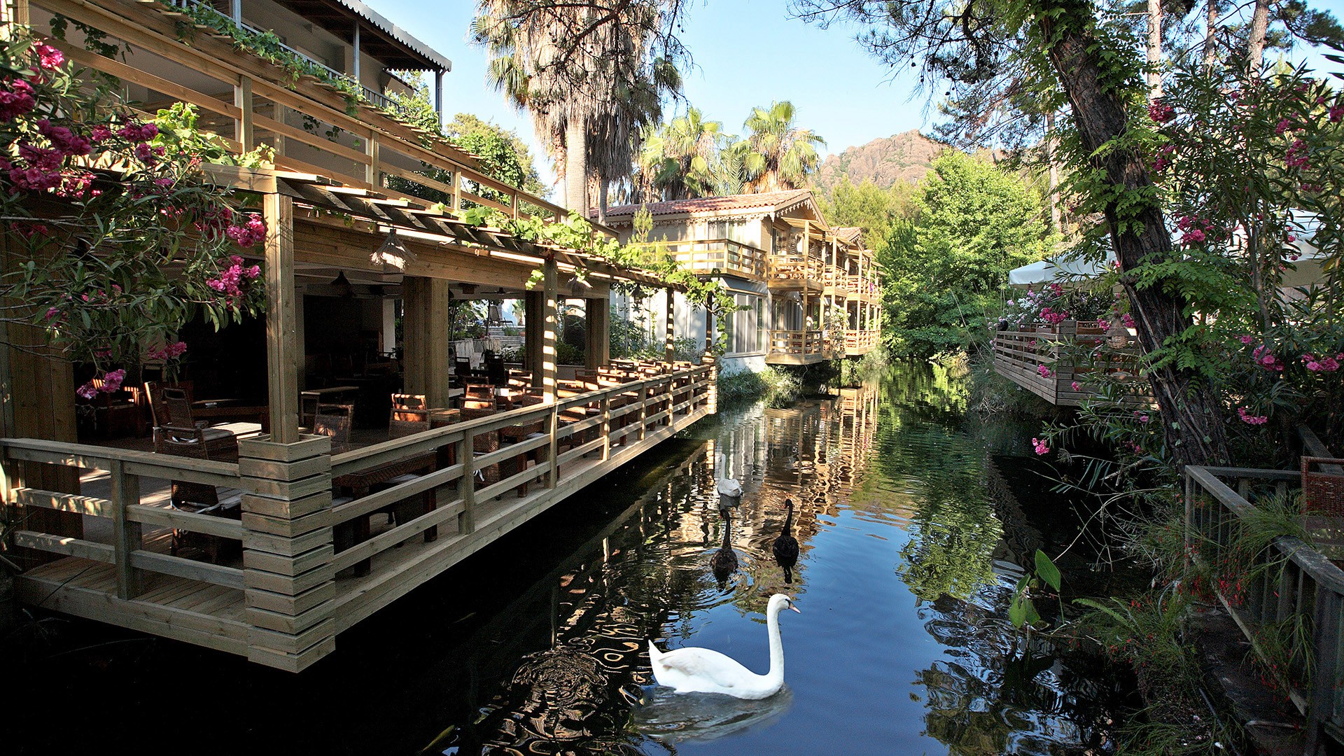 Dalaman Airport (DLM) Airport transportation