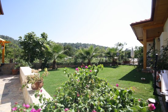 Dalaman Airport (DLM) Airport transportation