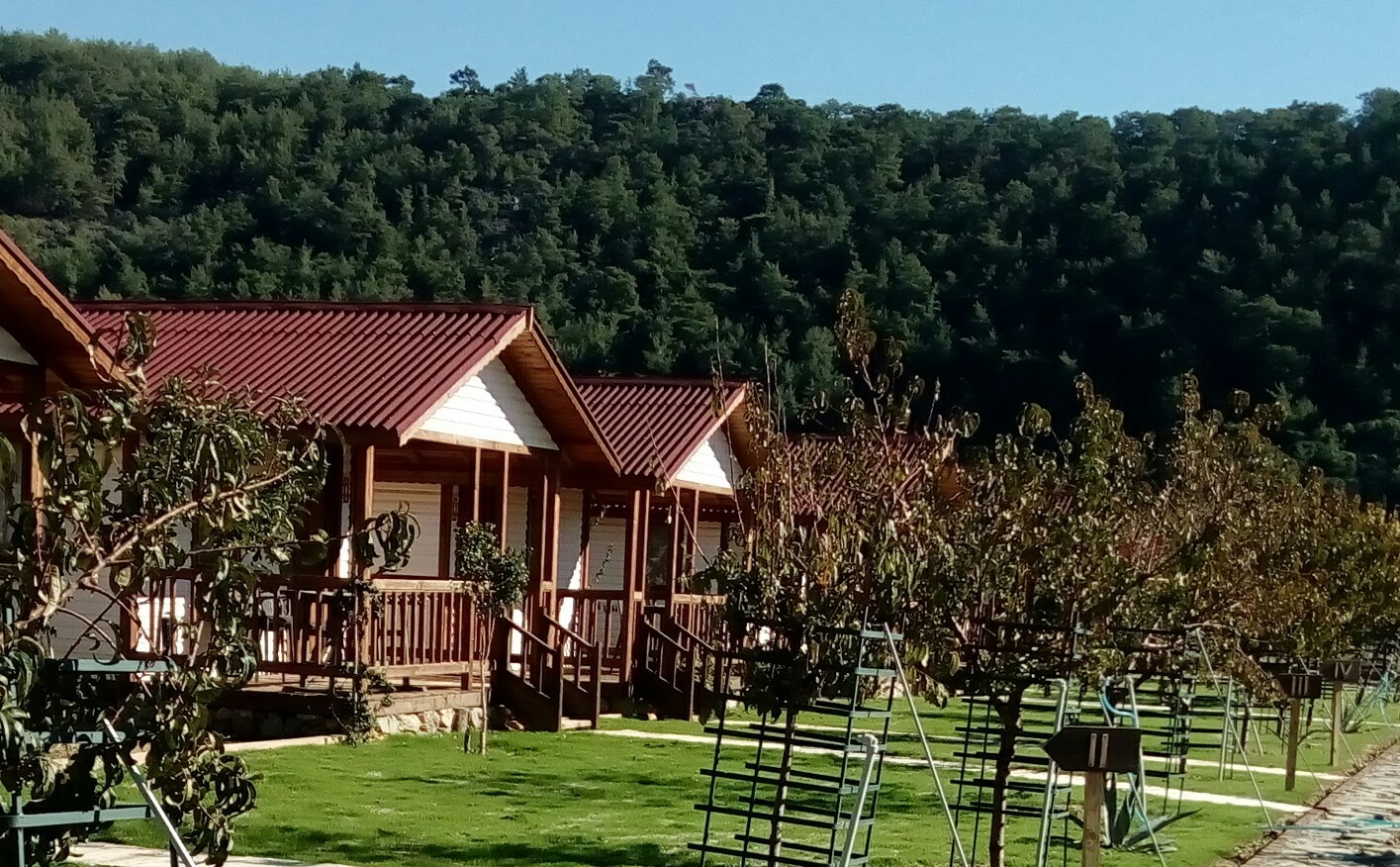 Dalaman Airport (DLM) Airport transportation