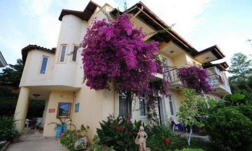 Dalaman Airport (DLM) Airport transportation