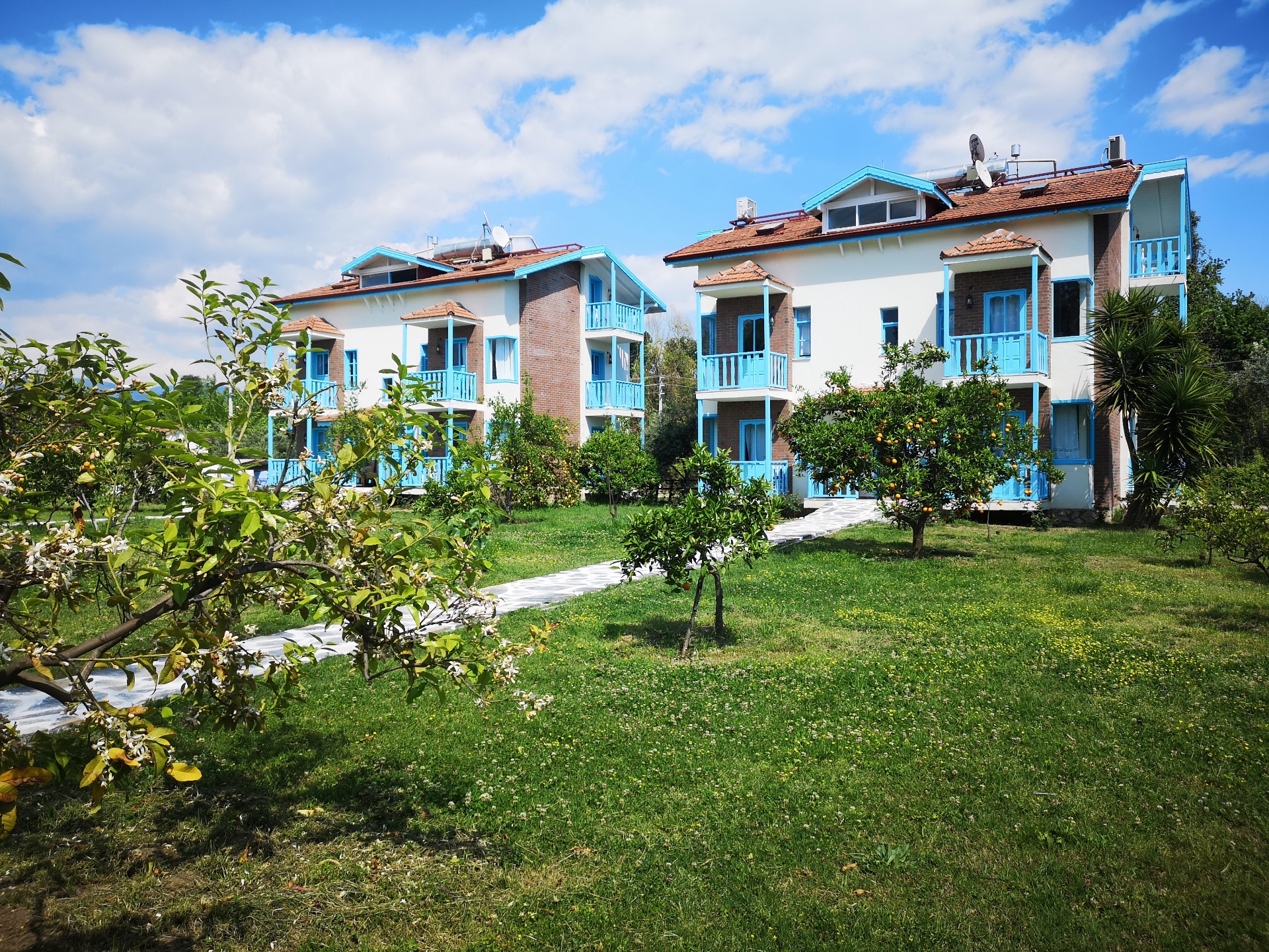 Dalaman Airport (DLM) Airport transportation