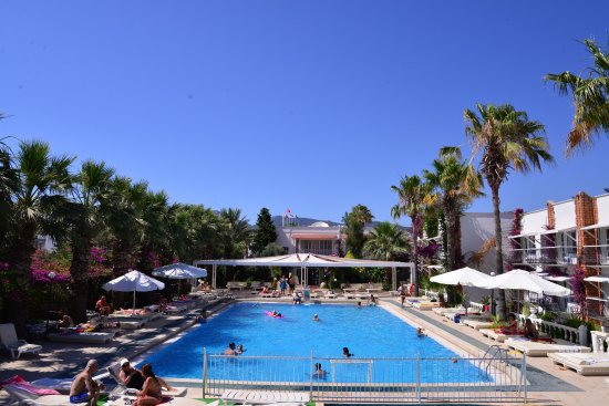 Bodrum Airport (BJV) Airport transportation