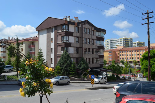 World Wide Airport Transfers