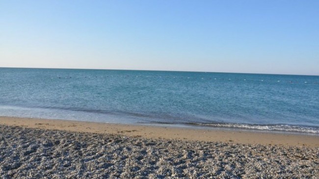 World Wide Airport Transfers