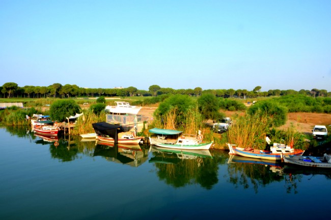 World Wide Airport Transfers