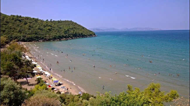 World Wide Airport Transfers