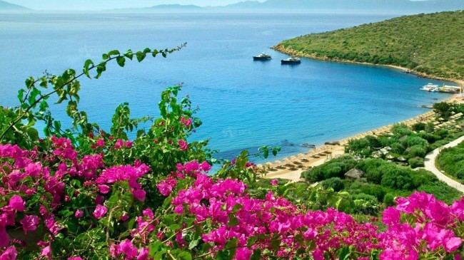 World Wide Airport Transfers