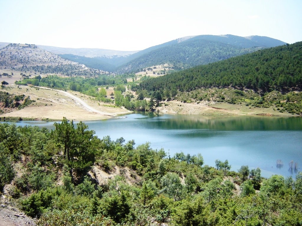 Weltweite Flughafentransfers