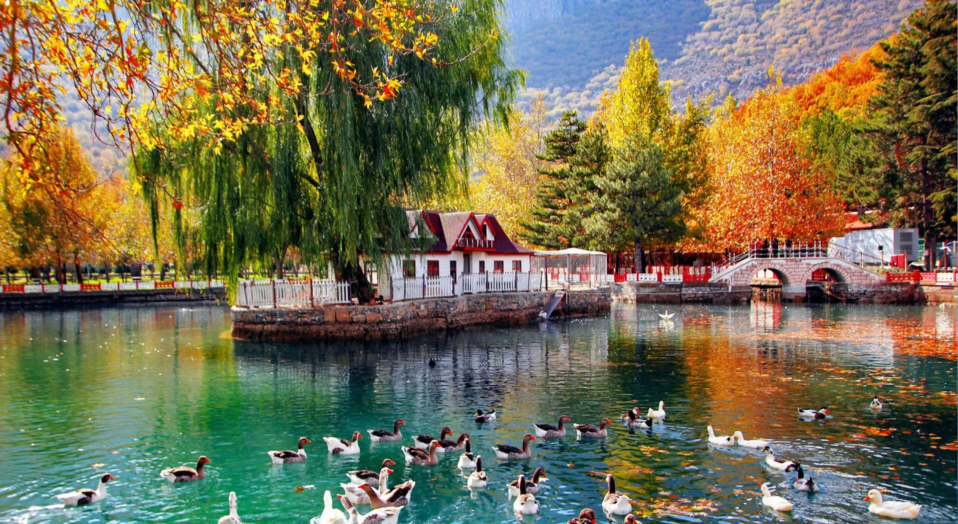 World Wide Airport Transfers