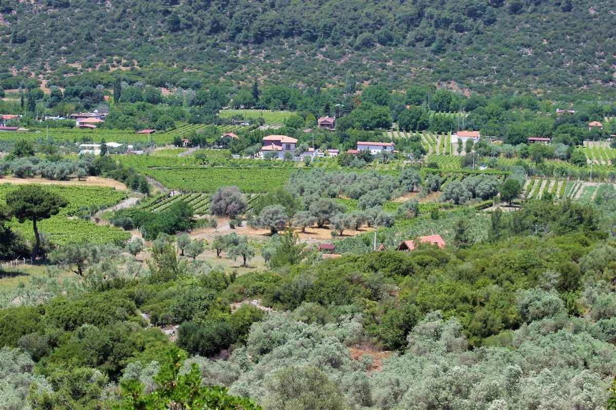 World Wide Airport Transfers