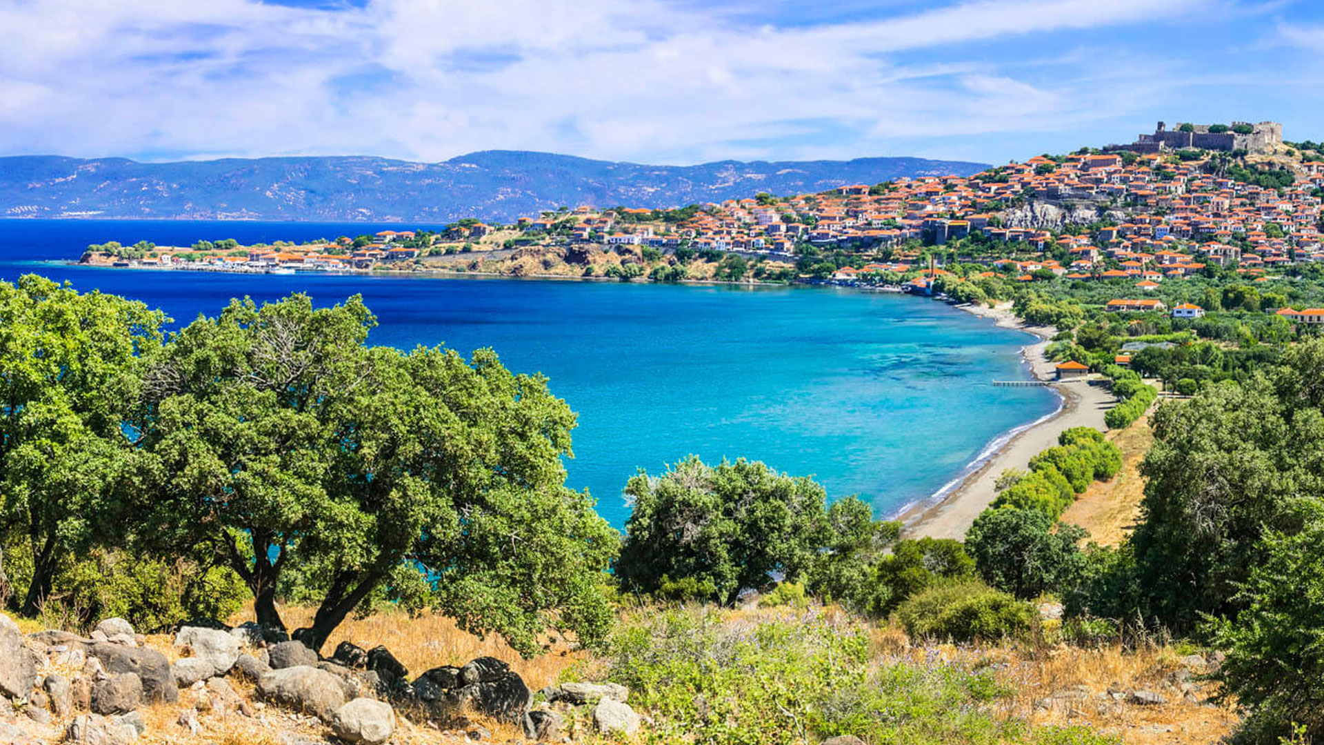 World Wide Airport Transfers